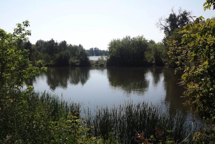 Капітанівка з panoramio.com - Капитановка