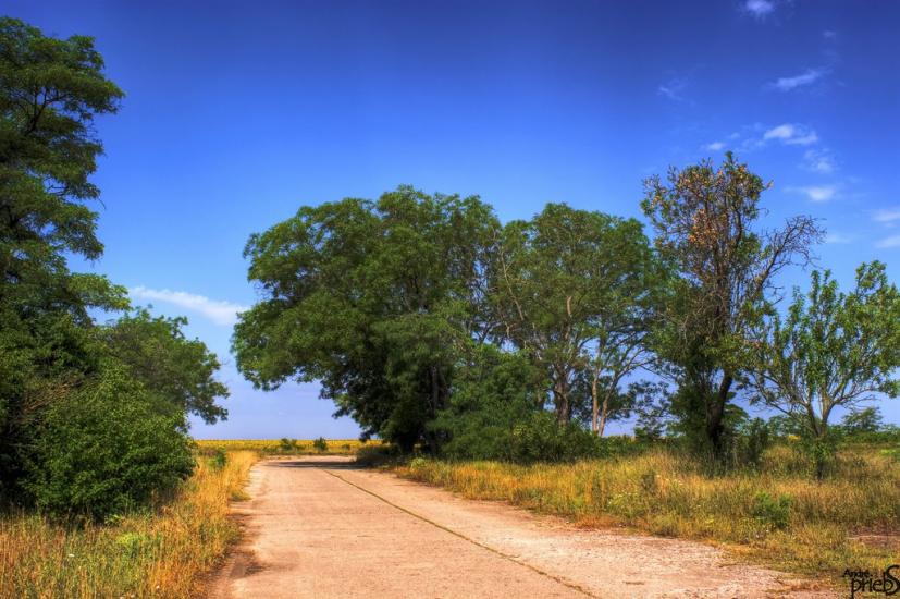Багерове з panoramio.com - Багерове