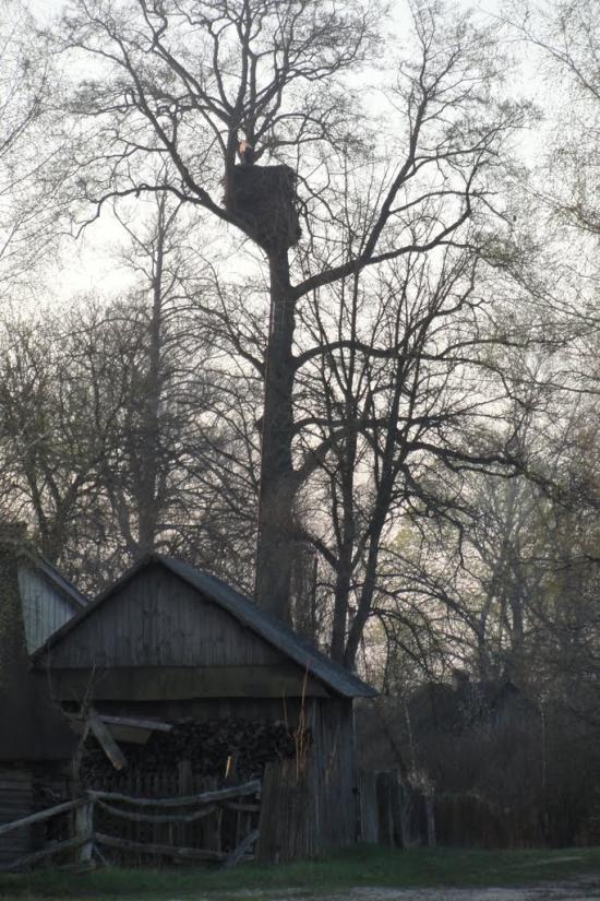 Градиськ з panoramio.com - Градиск