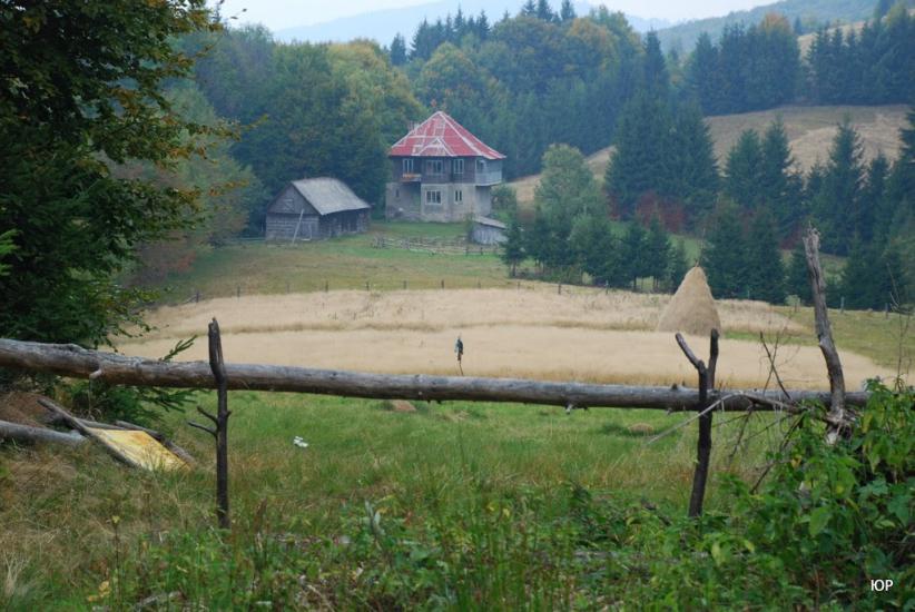 Суха з panoramio.com - Сухая