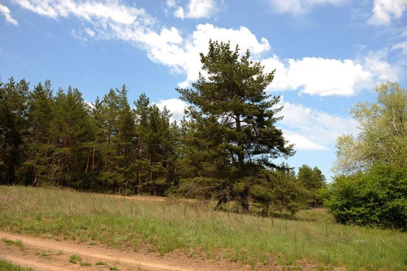 Закітне з panoramio.com - Закотное