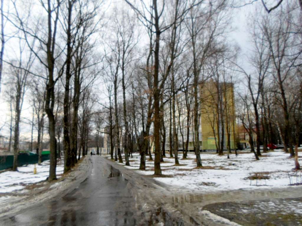 краєвид - Моршин