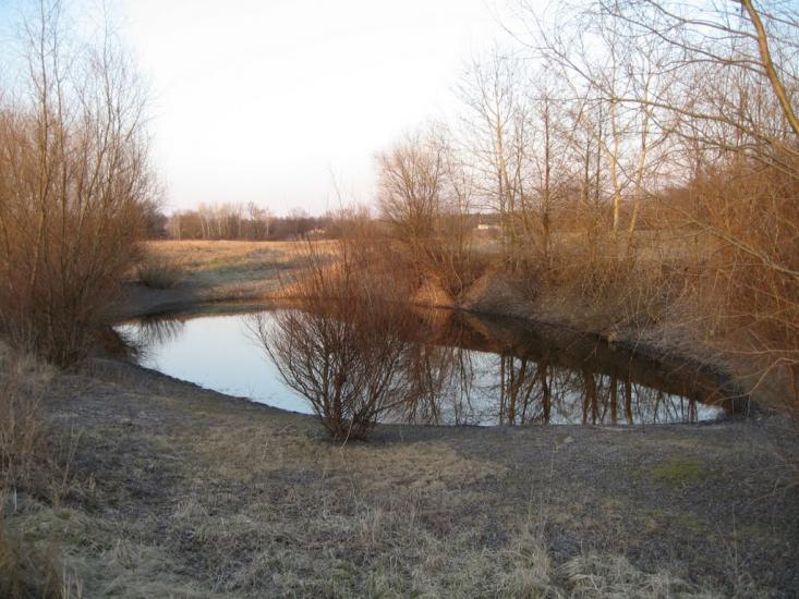 Плавні з panoramio.com - Плавни