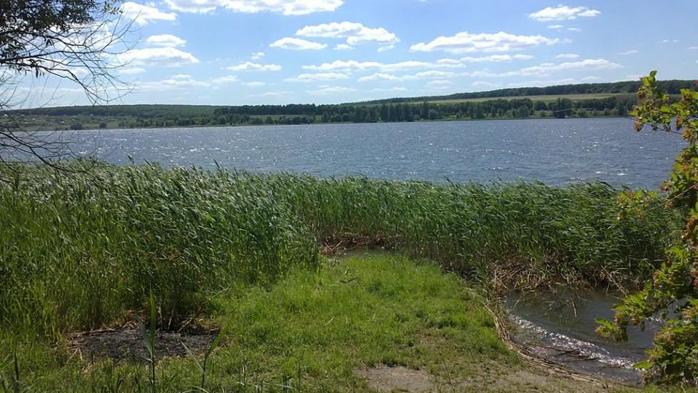 Липці з panoramio.com - Липцы