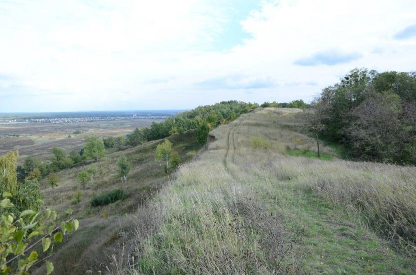 Великі Дмитровичі з panoramio.com - Великие Дмитровичи