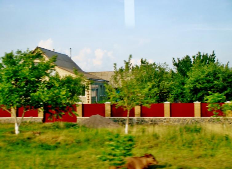 Смільчинці з panoramio.com - Смельчинцы