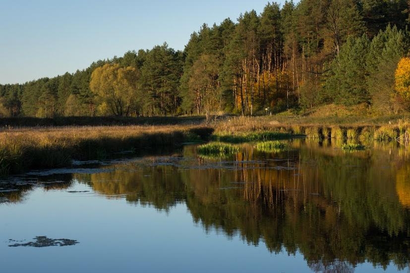 Верещиця з panoramio.com - Верещица