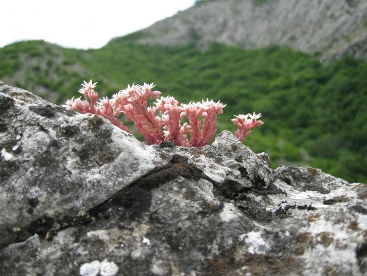 Громівка з panoramio.com - Громівка