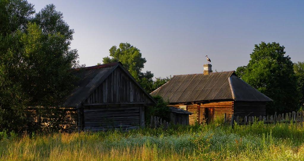 Грибова Рудня з panoramio.com - Грибова Рудня