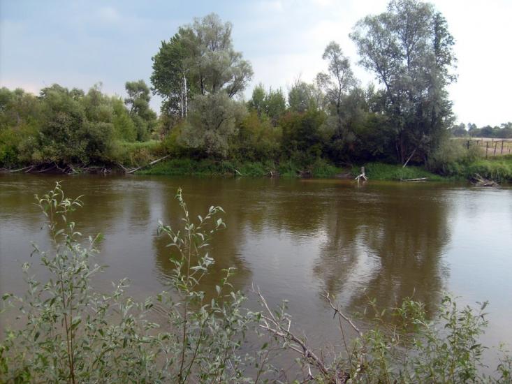 Кошари з panoramio.com - Кошари