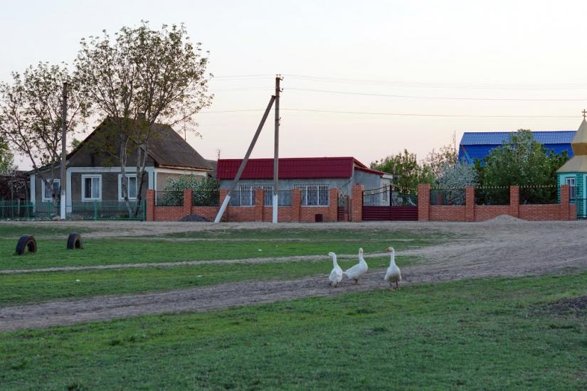 Переможне з panoramio.com - Переможное