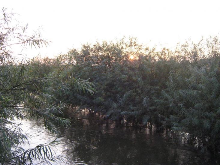 Катериничі з panoramio.com - Катериничі