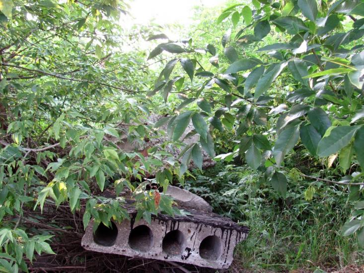 Хорошеве з panoramio.com - Хорошево