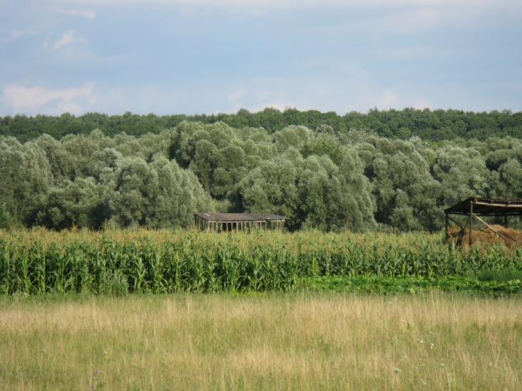 Лохвиця з panoramio.com - Lokhvitsa