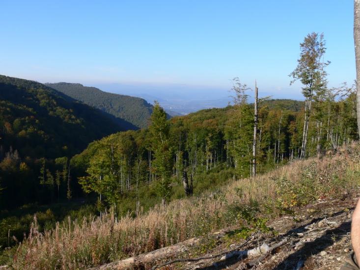 Бедевля з panoramio.com - Бедевля
