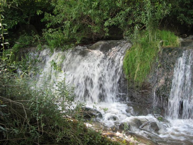 Рашків з panoramio.com - Rashkiv