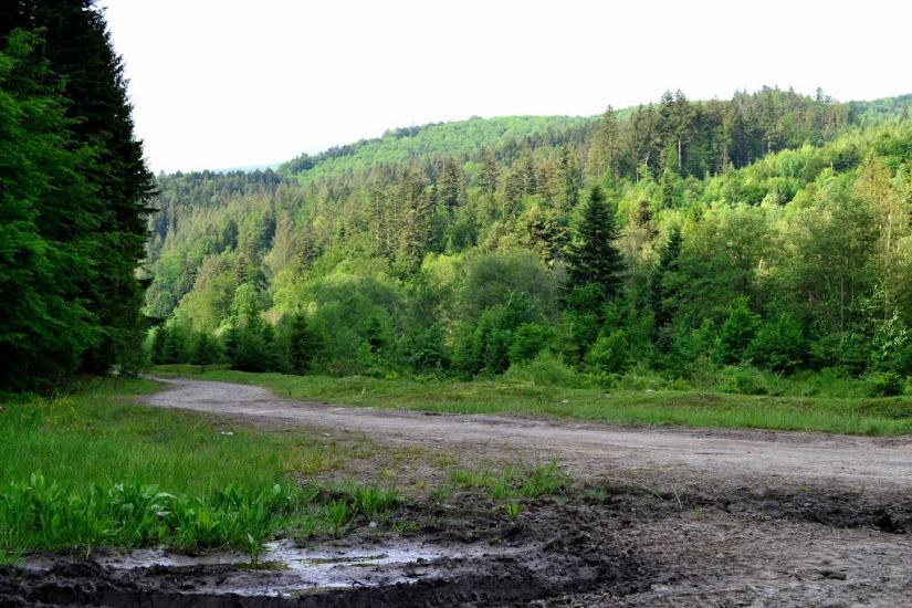 Люта з panoramio.com - Люта