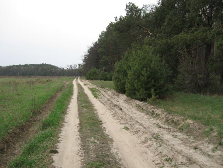 Ясногородка з panoramio.com - Ясногородка