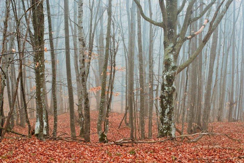 Многоріччя з panoramio.com - Многоречье