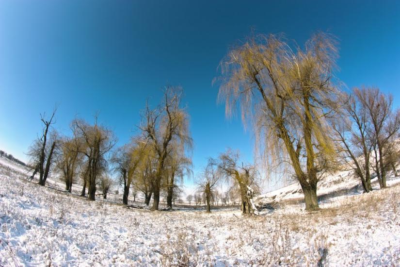 Вахрушеве з panoramio.com - Вахрушево