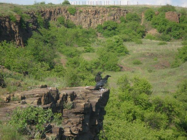 Зуївка з panoramio.com - Зуевка