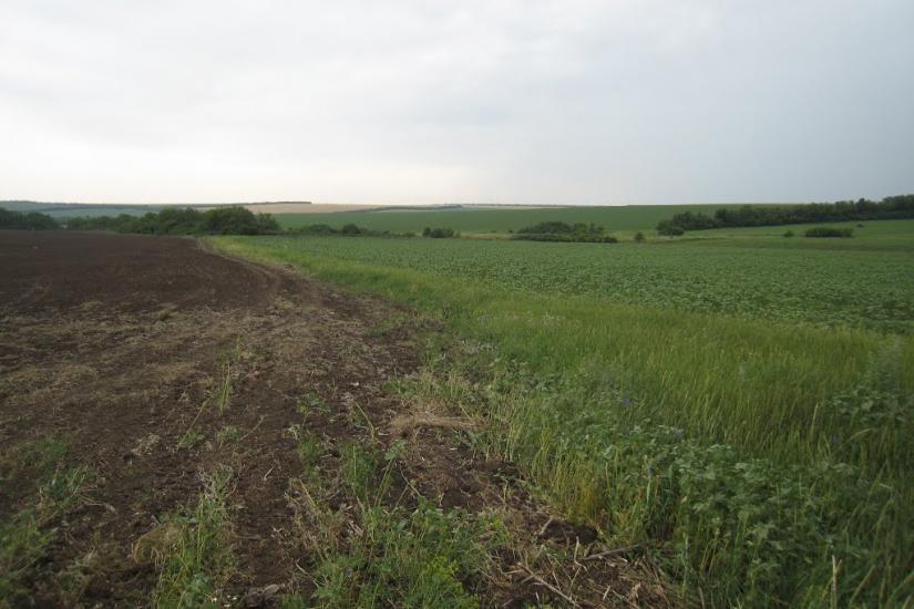 Стила з panoramio.com - Стила