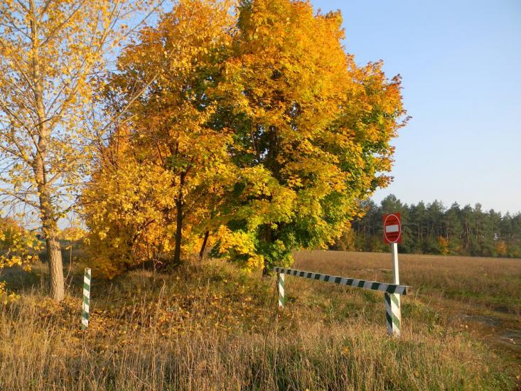 Бірки з panoramio.com - Бирки