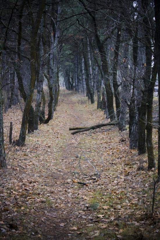 Придніпровське з panoramio.com - Придніпровське