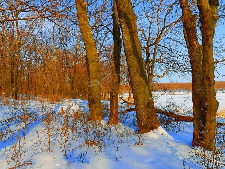 Ольховатка з panoramio.com - Olkhovatka