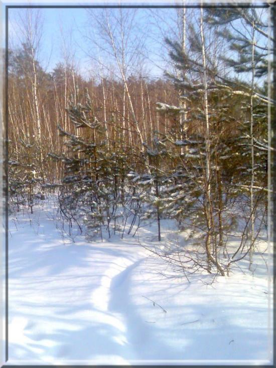 Кушкине з panoramio.com - Кушкине