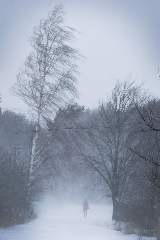 Першотравенськ з panoramio.com - Першотравенськ