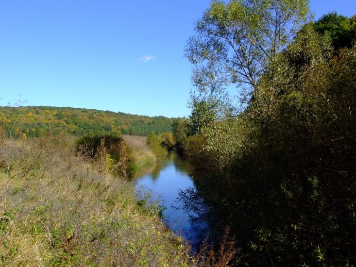 Кровинка з panoramio.com - Кровинка