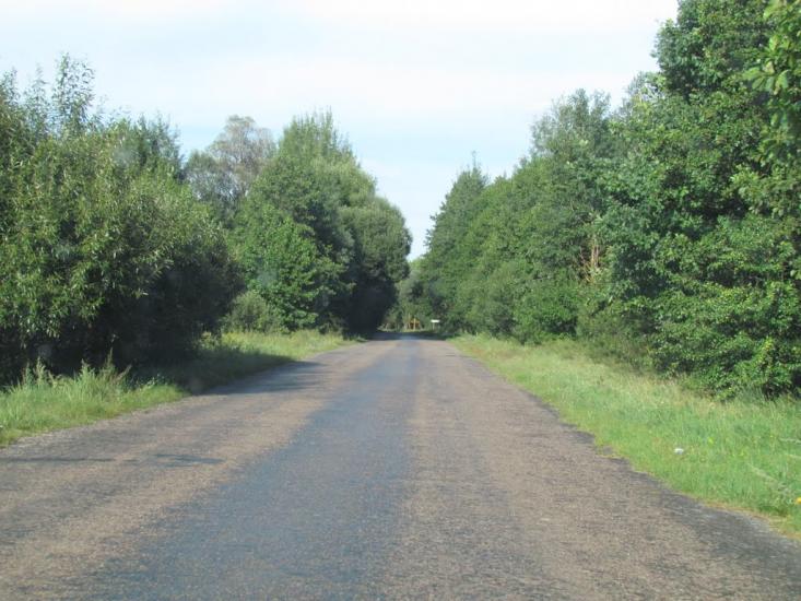 Грибова Рудня з panoramio.com - Грибова Рудня