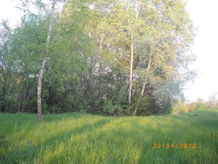 Обухів з panoramio.com - Обухов