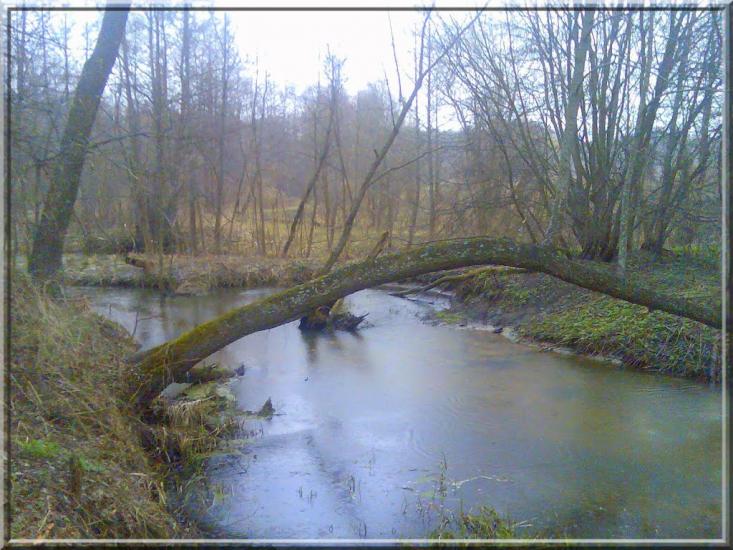 Кушкине з panoramio.com - Кушкино