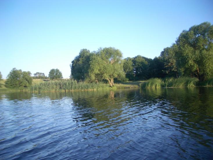 Комишеве з panoramio.com - Комишеве