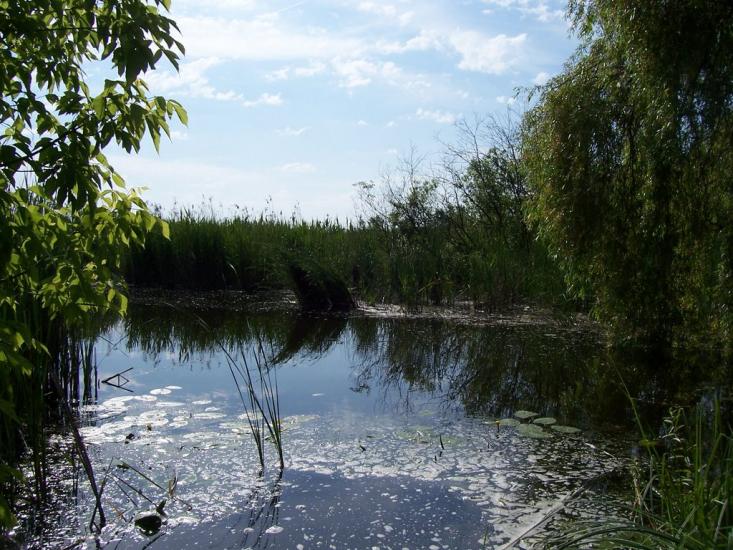 Червоне з panoramio.com - Червоне