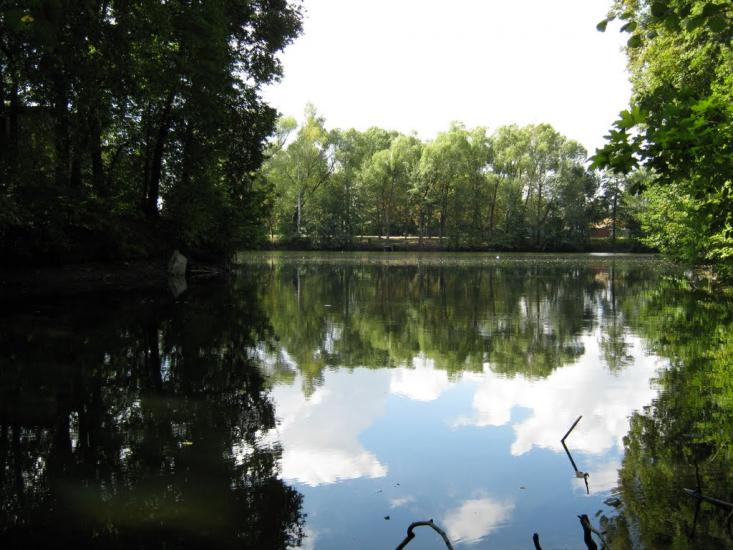 Стольне з panoramio.com - Стольное