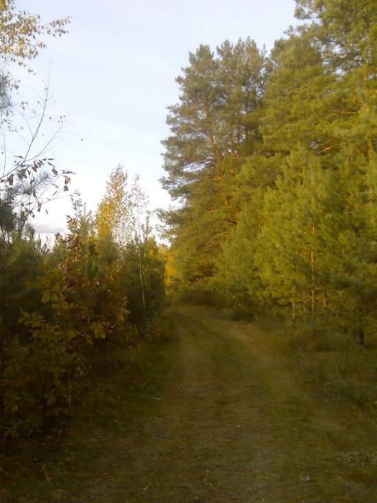 Гукове з panoramio.com - Гуково