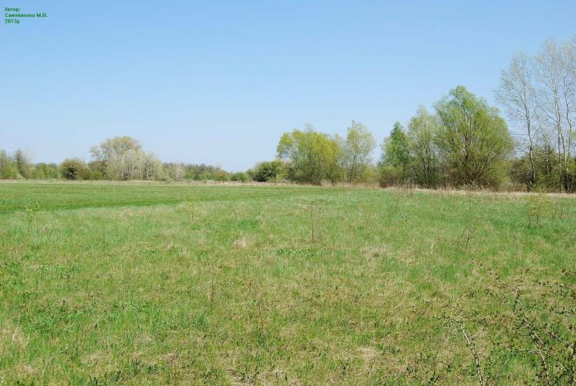 Плавні з panoramio.com - Плавни