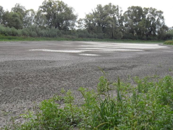 Григорівка з panoramio.com - Григорівка