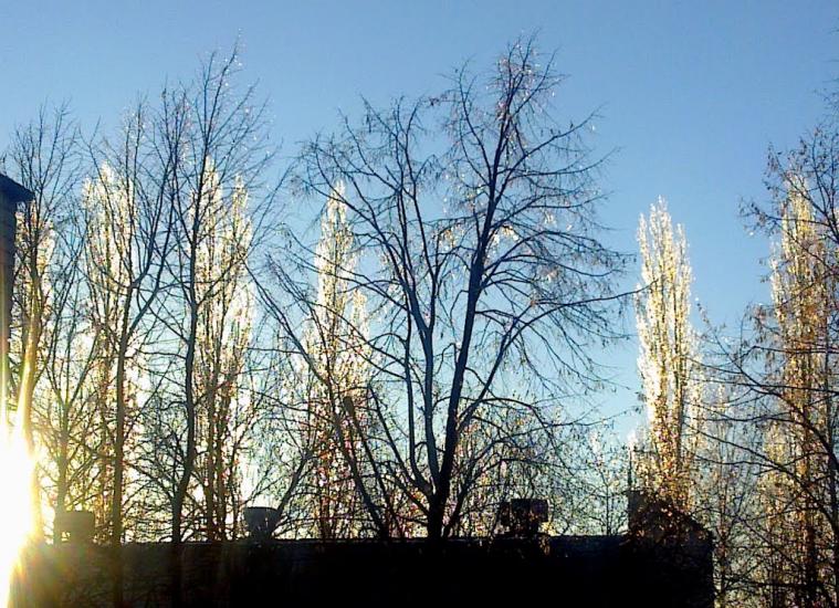 Смоліне з panoramio.com - Smoline