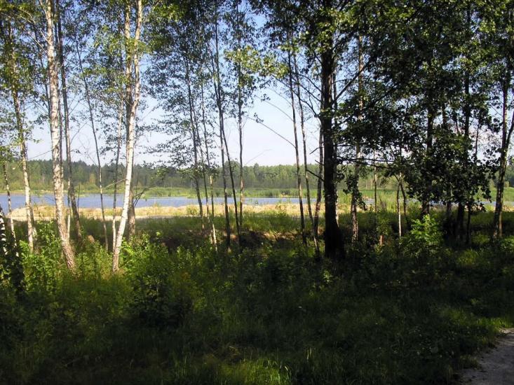 Вересівка з panoramio.com - Вересовка