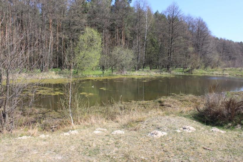 Суховоля з panoramio.com - Суховоля