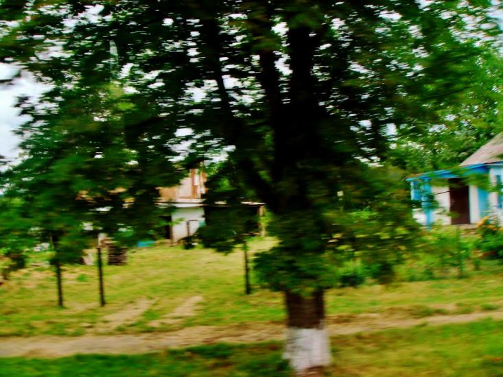 Смільчинці з panoramio.com - Смельчинцы
