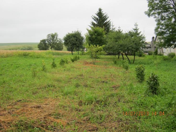 Данилівці з panoramio.com - Даниловцы