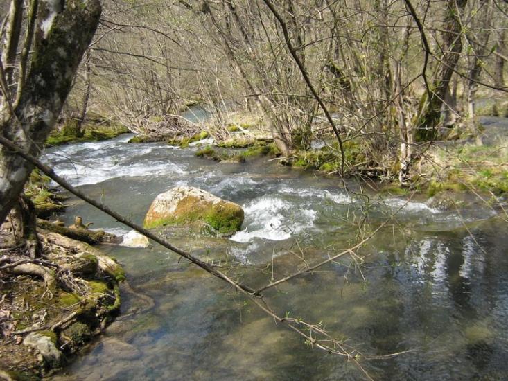 Данилове з panoramio.com - Данилово