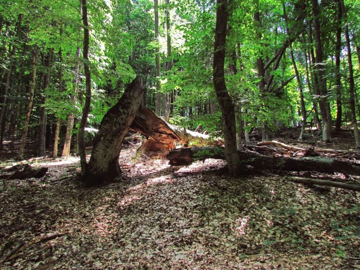 Многоріччя з panoramio.com - Многоріччя