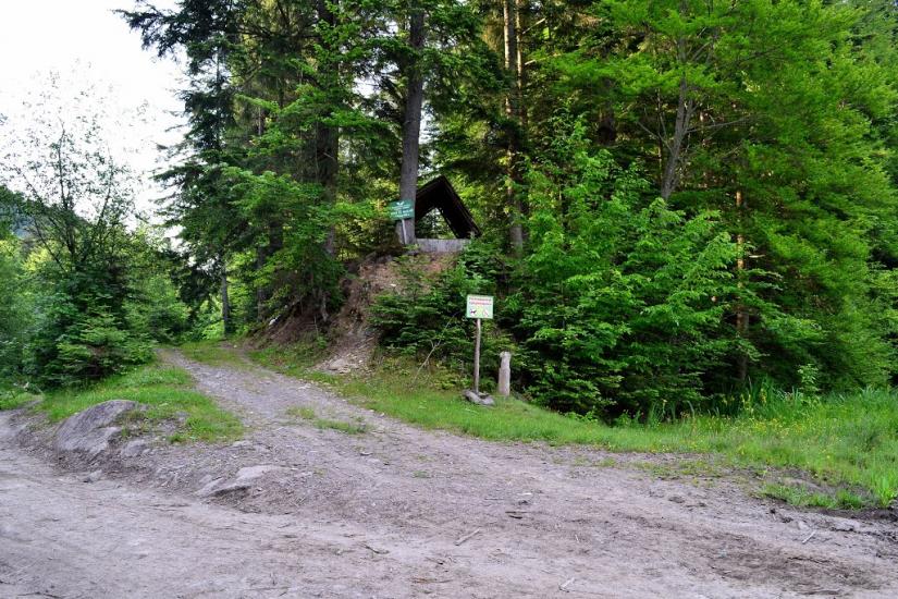 Люта з panoramio.com - Люта