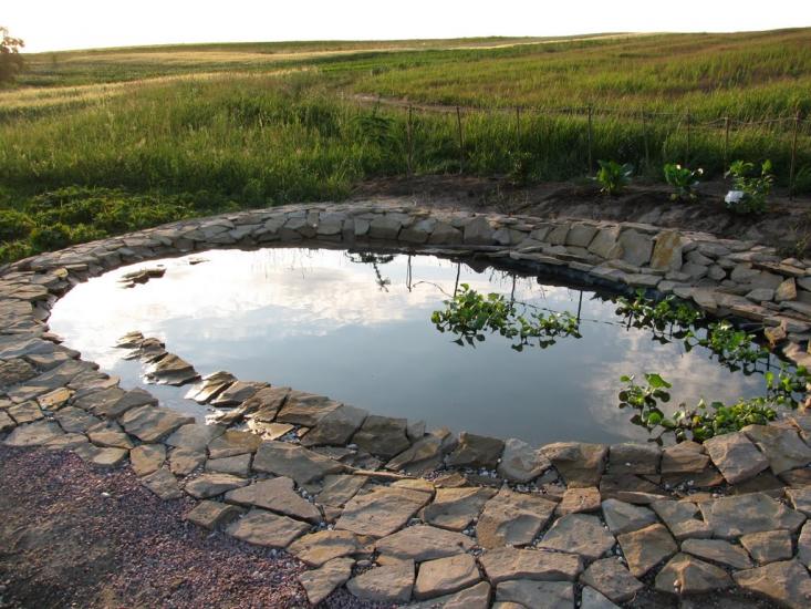 Великий Житин з panoramio.com - Великий Житин